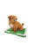 Туалет для собак маленький Puppy Potty Pad